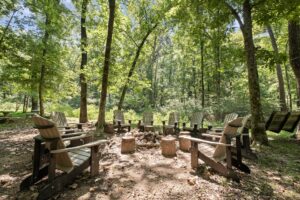 New Song Sanctuary - Bear's Den