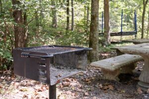 New Song Sanctuary - Bear's Den