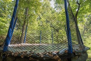 New Song Sanctuary - Bear's Den