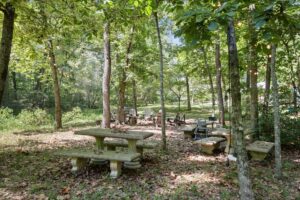 New Song Sanctuary - Bear's Den